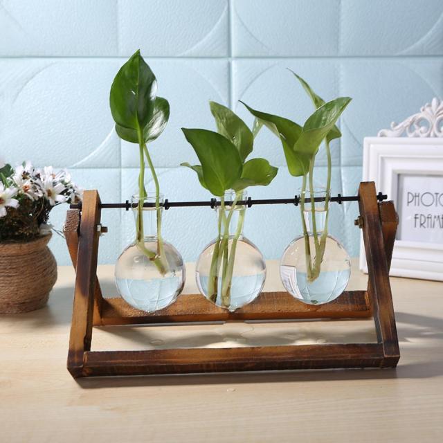 Hydroponic Vase Glass Table Plant