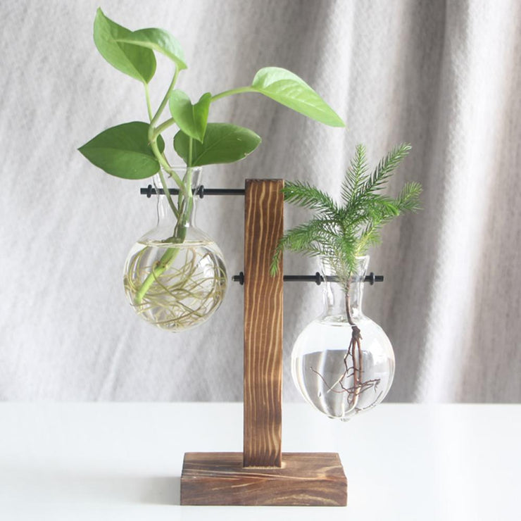 Hydroponic Vase Glass Table Plant