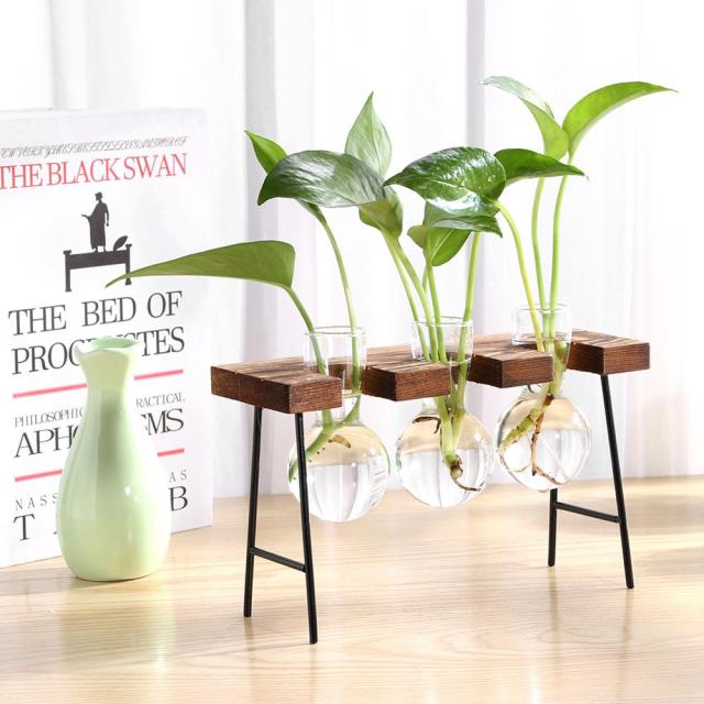 Hydroponic Vase Glass Table Plant