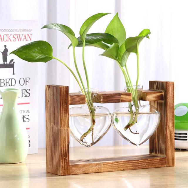 Hydroponic Vase Glass Table Plant