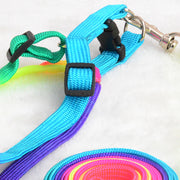 Colourful Rainbow Pet Dog Collar Harness Leash Soft Colourful Durable Traction Nylon Rope
