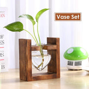 Hydroponic Vase Glass Table Plant