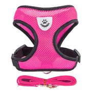 Adjustable Dog Harness
