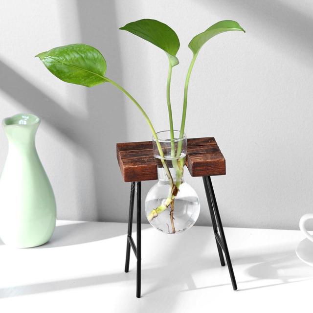 Hydroponic Vase Glass Table Plant