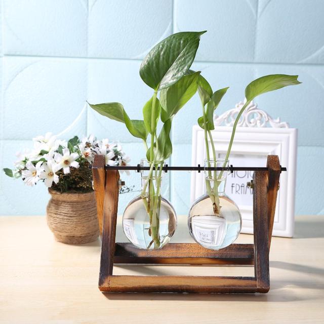Hydroponic Vase Glass Table Plant