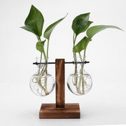 Hydroponic Vase Glass Table Plant
